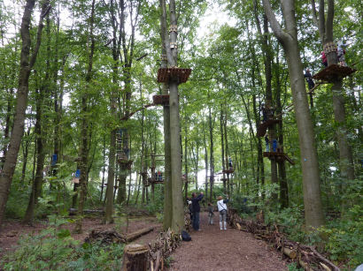 parcour in het bos bij de Bosbaanvan Funforest