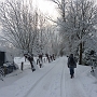 Winterwandeling (21 dec) Waalwijk --> 's-Hertogenbosch met Jeroen en Paul.