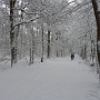 Winterwandeling (21 dec) Waalwijk --> 's-Hertogenbosch met Jeroen en Paul.