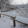 Winterwandeling (21 dec) Waalwijk --> 's-Hertogenbosch met Jeroen en Paul.