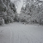 Winterwandeling (21 dec) Waalwijk --> 's-Hertogenbosch met Jeroen en Paul.