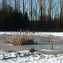 Winterwandeling (26 dec) met Ivonne in de Mortelen.