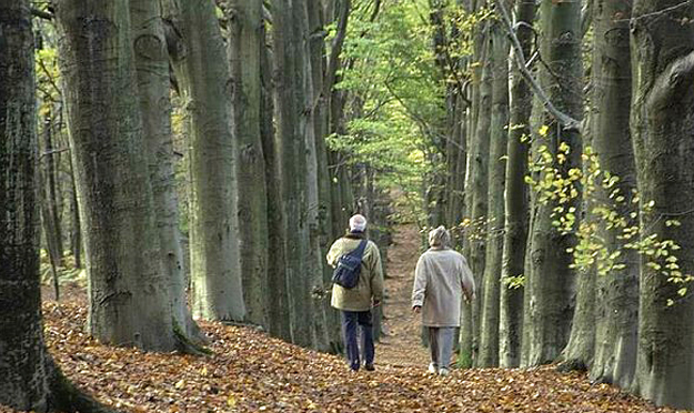 wandelen-veluwezoom