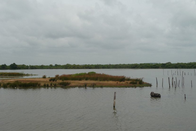 P1120132
