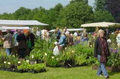Internationale Kwekerijdagen Bingerden 2006