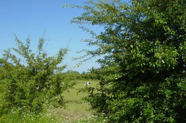Landgoed-middachten-havikerwaard