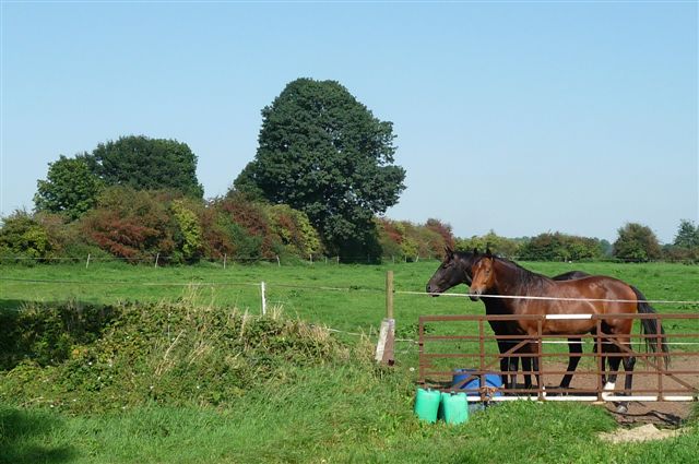 Foto van landschap