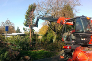 Bomen rooien zuidoosthoek 131113