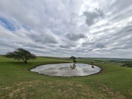 Dew pond in South Downs