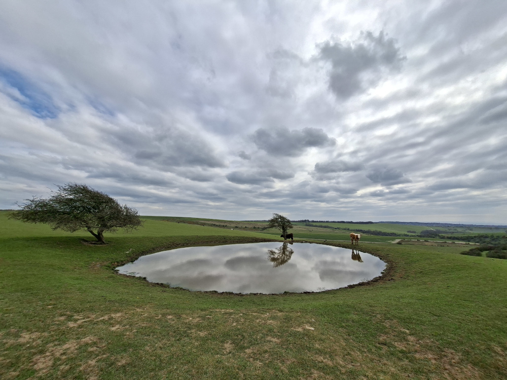 Dew pond in South Downs